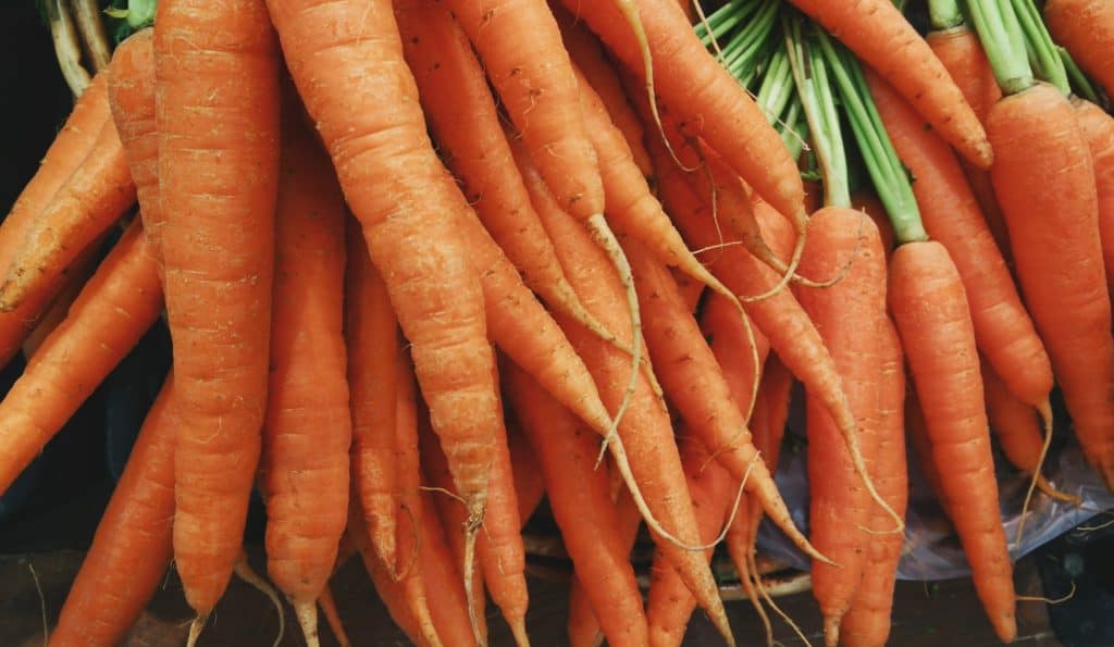 Kulit wortel memiliki manfaat sama seperti wortelnya sendiri