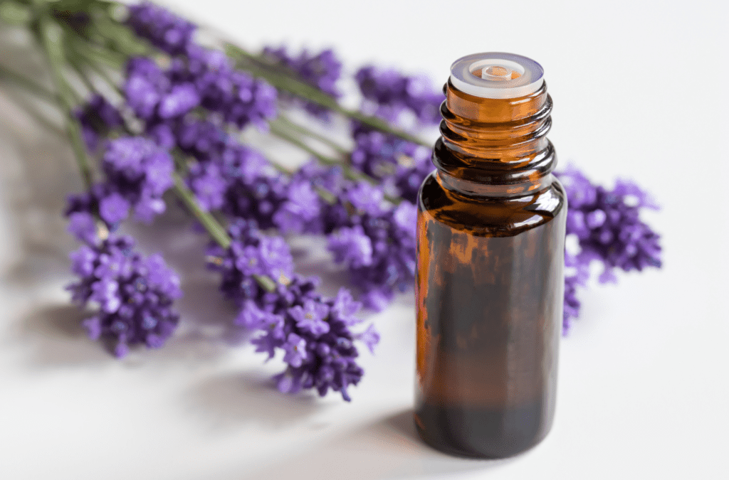 Minyak Lavender menjaga kesehatan rambut