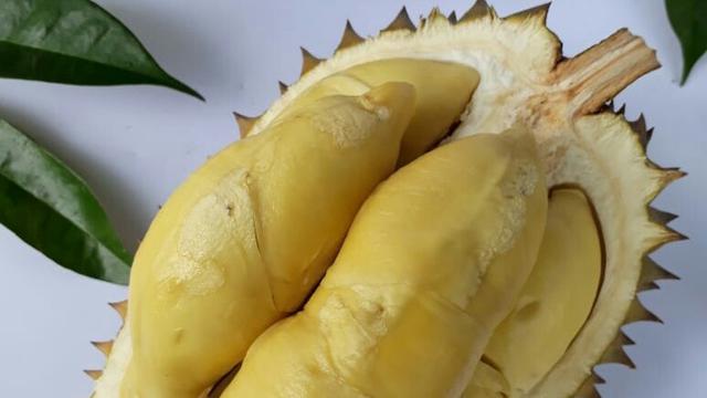 Durian Si Mimang