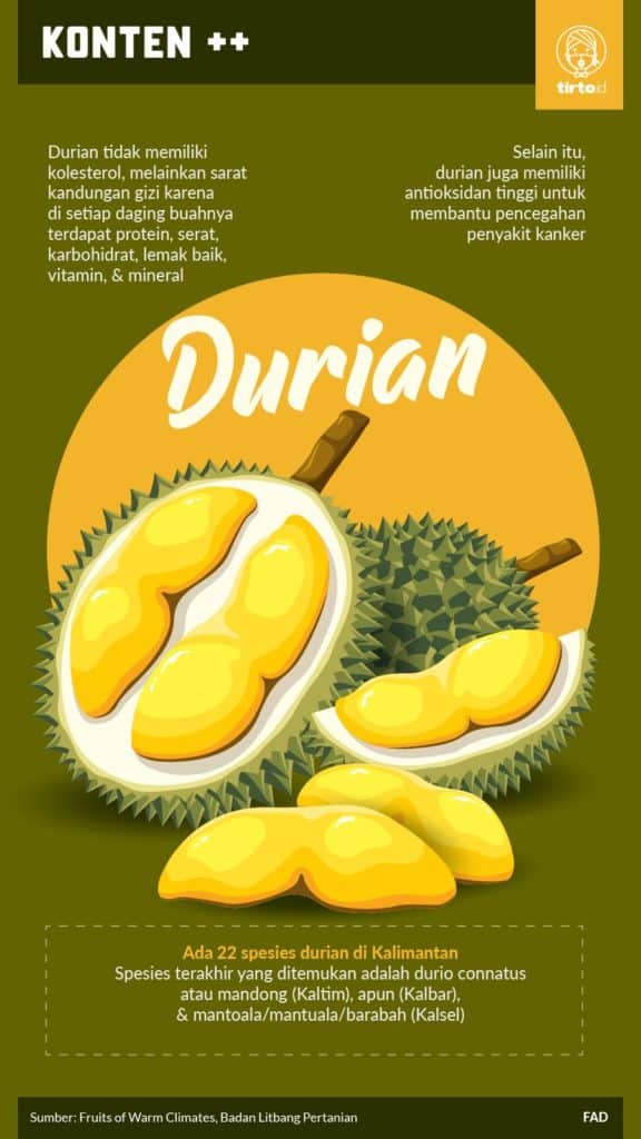 fakta durian tidak mengandung kolesterol
