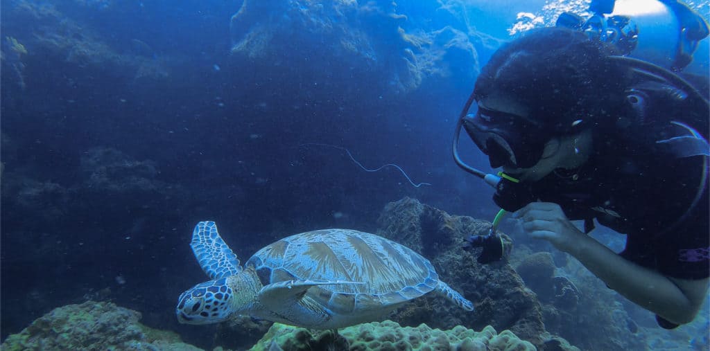 Scuba Diving Open Water Pulau Seribu