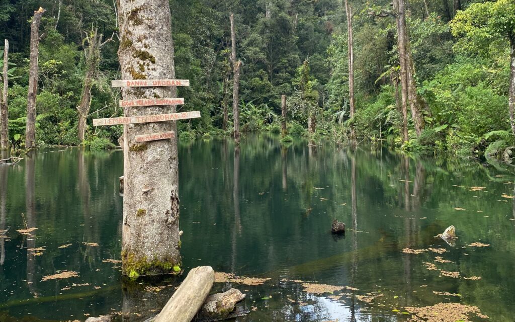 Hidden lake 
