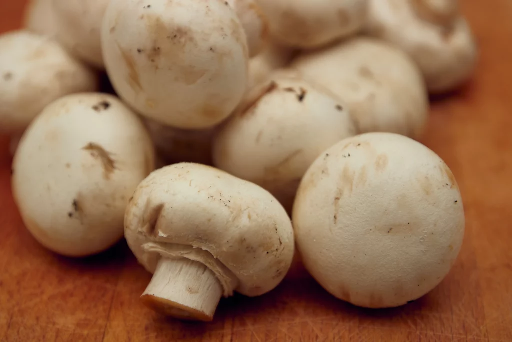 Karakteristik jamur champignon - Mengenal Jamur Champignon dan 9 Manfaatnya!