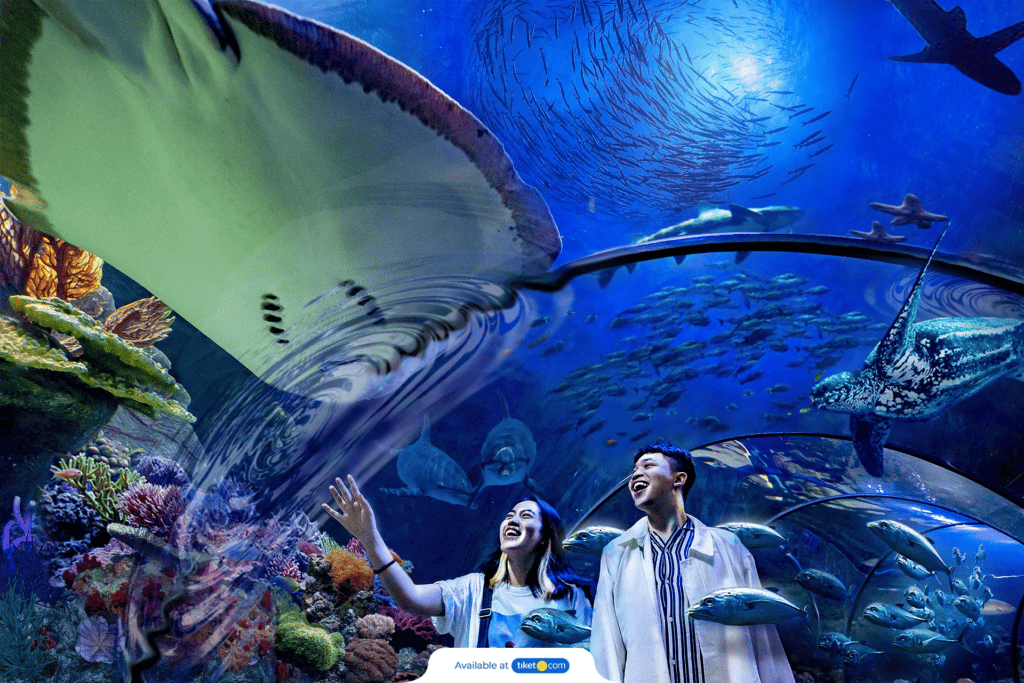 Ide Aquarium Date di Jakarta
